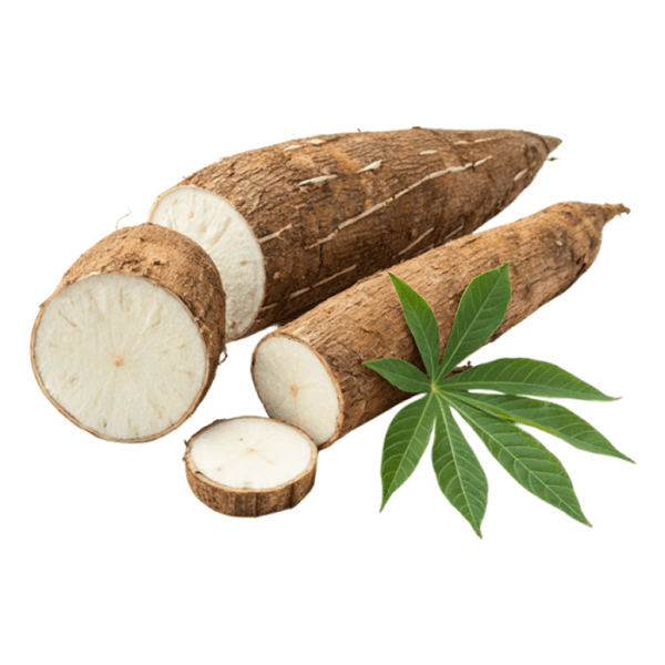 Cassava (5 medium)