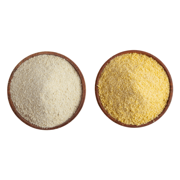 Gari