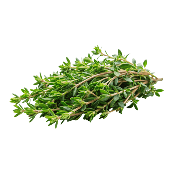 Thyme