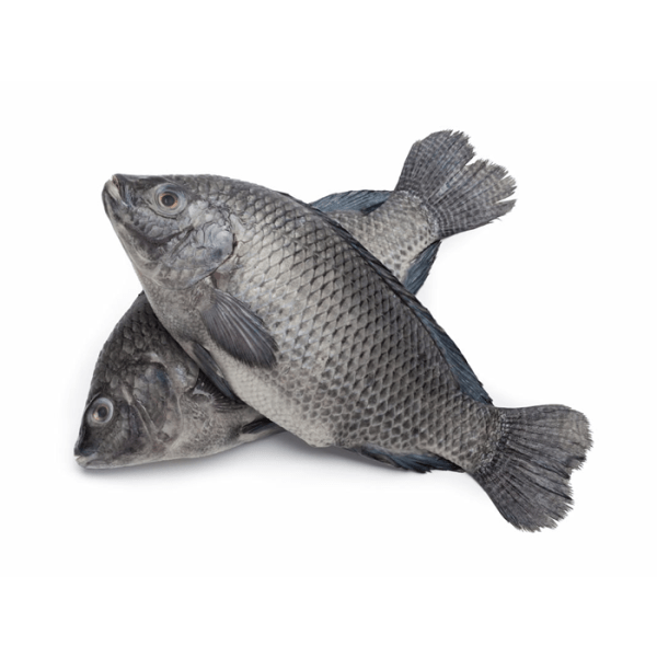 Tilapia(1kg)